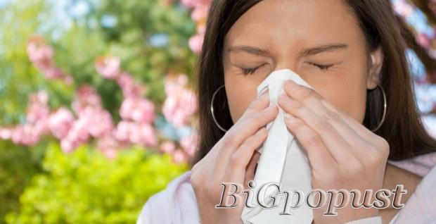 3990 rsd alergološki testovi sa standardnim inhalacionim i nutritivnim alergenima