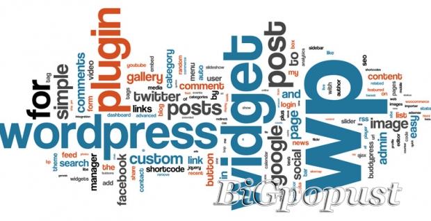 900 rsd za multimedijalni kurs Word Press-a  ili Webdesing-a 1