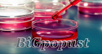 1000 rsd za analizu krvi i urina (kks, urea, creatinin, fe, glu, lipogram, ast, alt ,urin micro.)