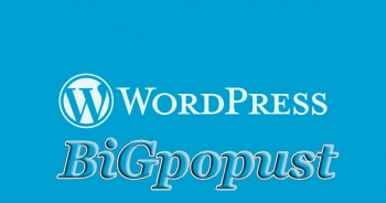 2000 rsd za online kurs - NAUČI WORDPRESS I POSTANI WEB DIZAJNER 