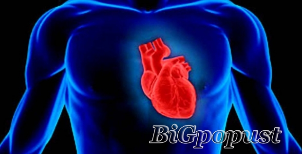 1999, rsd, za, , ultrazvuk, srca, , u, specijalistikoj, internistikoj, , ordinaciji, cardio, mm