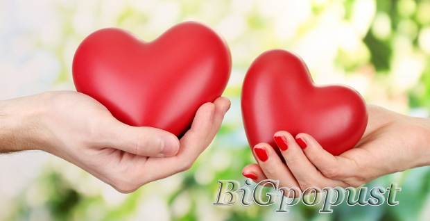 2399, rsd, specijalisticki, internistiki, pregled, , uz, srca, , u, specijalistikoj, internistikoj, , ordinaciji, cardio, mm