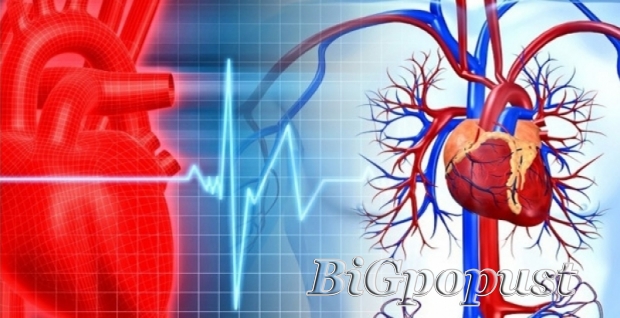 4000 rsd za 24h holter krvnog pritiska u ordinaciji SB Medic na Vračaru