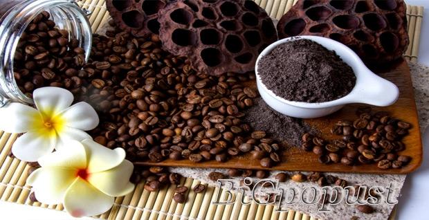 HIT PONUDA: 700 rsd za anticelutlit tretman zrncima kafe u salonima ASTRADAS 4
