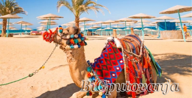 hurgada, , hoteli, 4, 5, 7, nocenja, all, inclusive, , vec, od, 564e, 