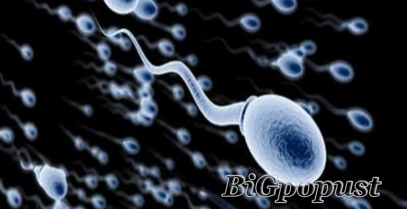 1000 rsd za spermogram i spermokultura 2