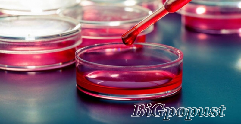 1000 rsd za analizu krvi i urina (kks, urea, creatinin, fe, glu, lipogram, ast, alt ,urin micro.) 1