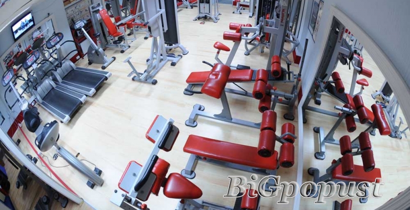 1750 rsd - 12 mesecnih programiranih treninga u Fittness centru D&D na Novom Beogradu 4