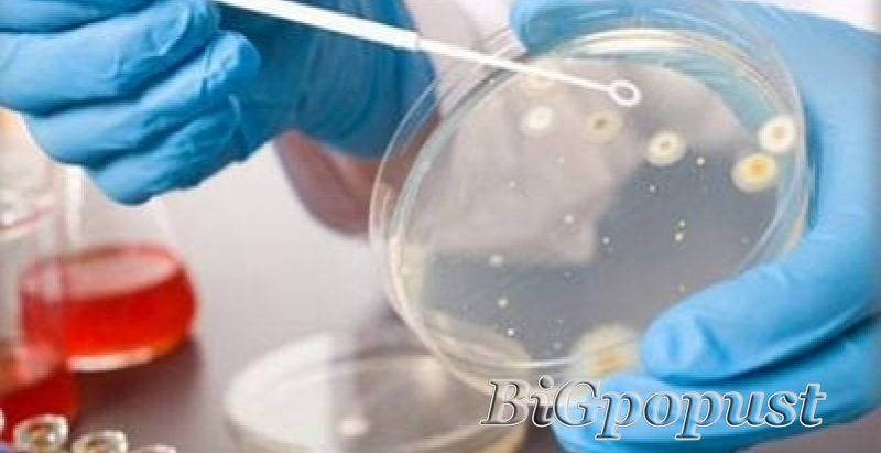 1800 rsd za helikobakteri pilori izdisajni test 2
