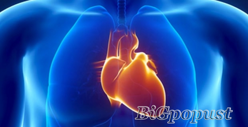 2500 rsd za Color doppler srca (ultrazvuk srca) u ordinaciji SB Medic na Vračaru 1