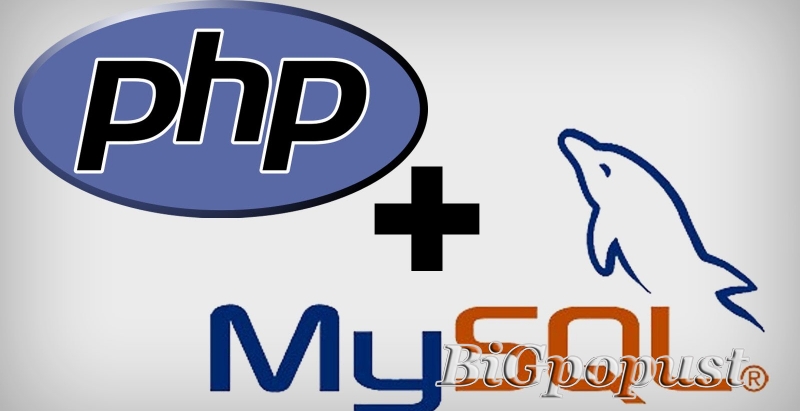 3000 rsd za online kurs PHP i MySQL Web Programiranja  2