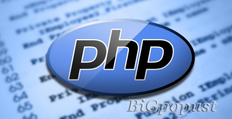 3000 rsd za online kurs PHP i MySQL Web Programiranja  4