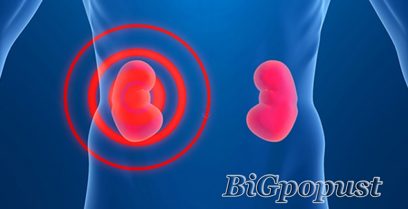 4650 rsd pregled urologa sa ultrazvukom kompletnog urotrakta, uroflow i testiranje PSA u poliklinici Bonadea 3