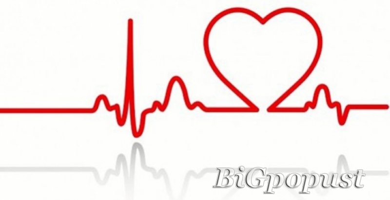 4700 rsd  za kompletan kardiološki pregled sa EKG i UZ srca u poliklinici Bonadea 4