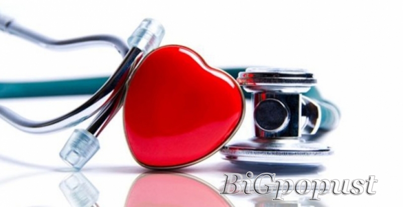 4700 rsd  za kompletan kardiološki pregled sa EKG i UZ srca u poliklinici Bonadea 3